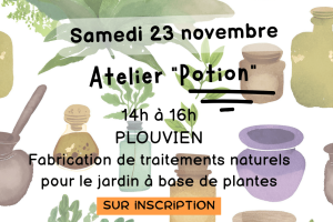 Atelier Potion